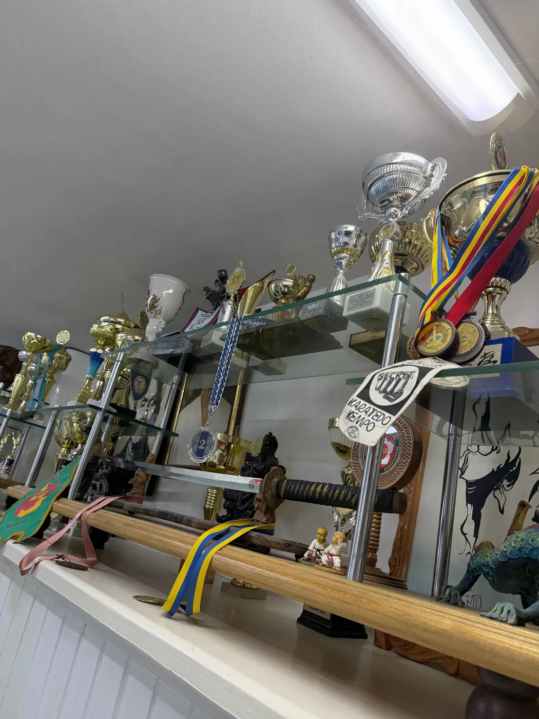 Кубки й нагороди в залі DZEN KARATE CLUB на правому березі Дніпра