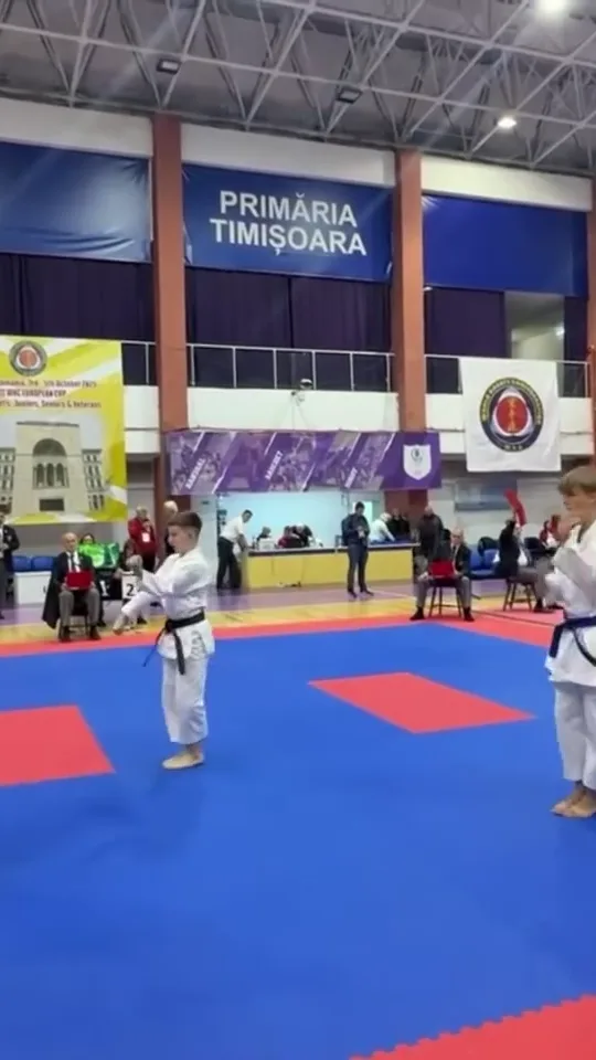 Виступ у ката на Кубку Європи WKC у Тімішоарі